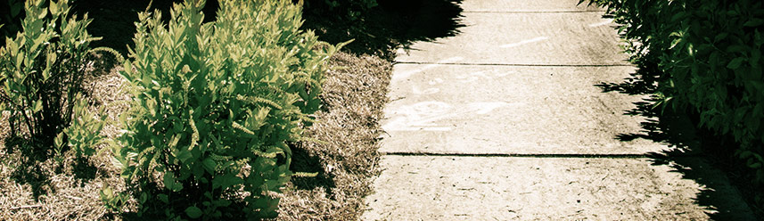 短信炸弹防护业务